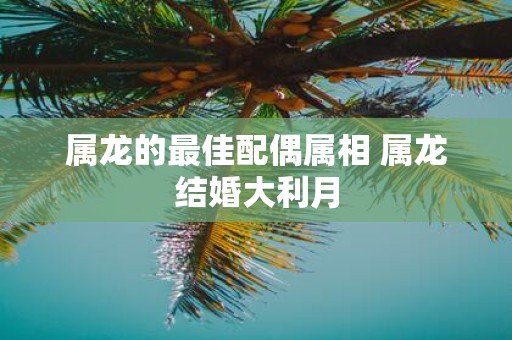 属龙的最佳配偶属相 属龙结婚大利月