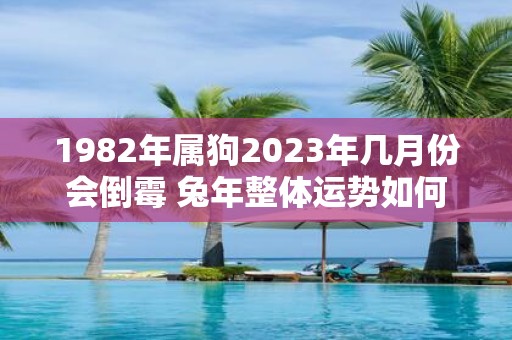 1982年属狗2025年几月份会倒霉 蛇年整体运势如何