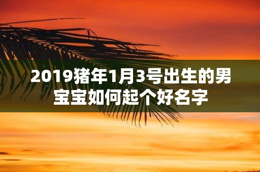 2019猪年1月3号出生的男宝宝如何起个好名字