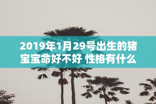 2019年1月29号出生的猪宝宝命好不好 性格有什么特点