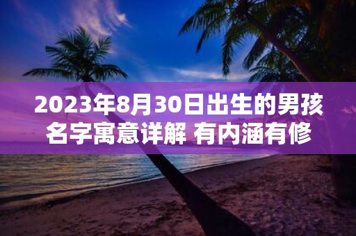 2025年8月30日出生的男孩名字寓意详解 有内涵有修养的男孩名字大全