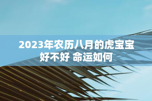 2025年农历八月的虎宝宝好不好 命运如何