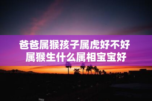 爸爸属猴孩子属虎好不好 属猴生什么属相宝宝好