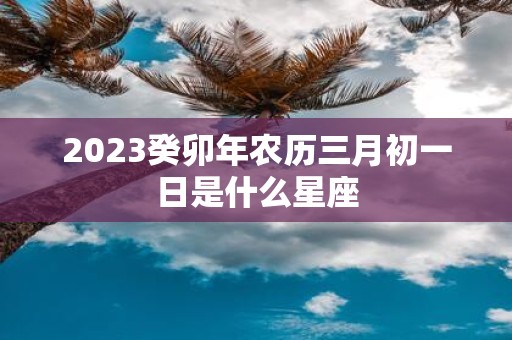 2025癸卯年农历三月初一日是什么星座