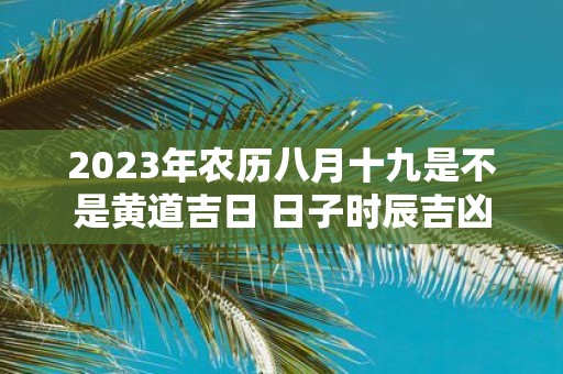 2025年农历八月十九是不是黄道吉日 日子时辰吉凶