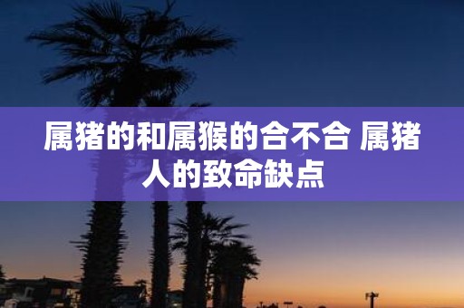 属猪的和属猴的合不合 属猪人的致命缺点