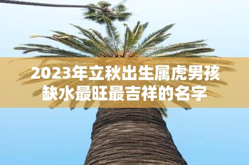 2025年立秋出生属虎男孩缺水最旺最吉祥的名字