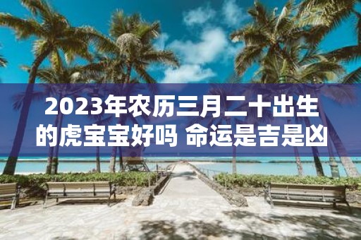 2025年农历三月二十出生的虎宝宝好吗 命运是吉是凶