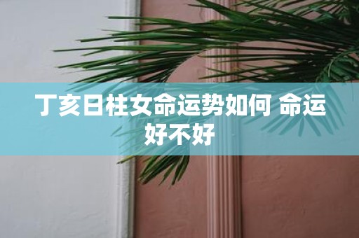 丁亥日柱女命运势如何 命运好不好