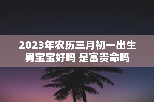 2025年农历三月初一出生男宝宝好吗 是富贵命吗