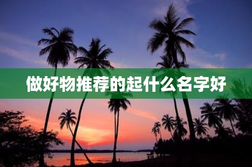 做好物推荐的起什么名字好