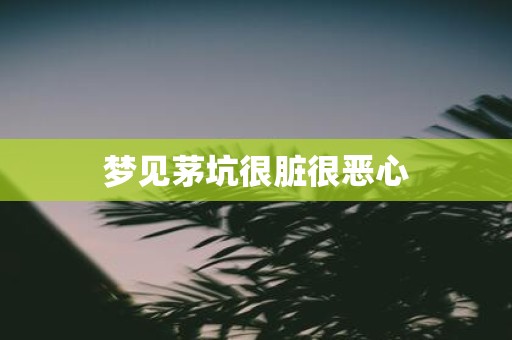 梦见茅坑很脏很恶心