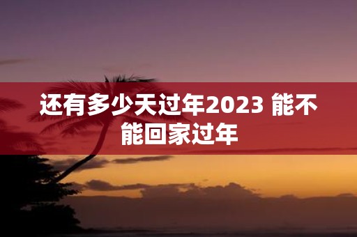 还有多少天过年2025 能不能回家过年
