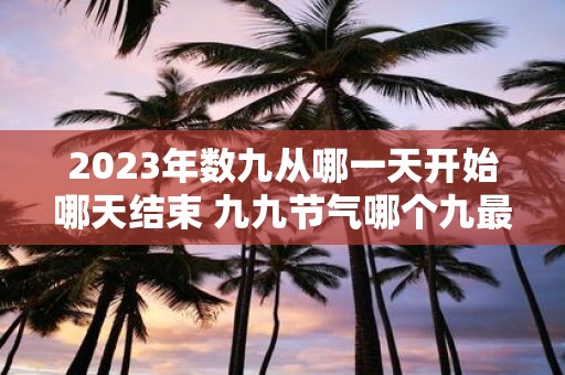 2025年数九从哪一天开始哪天结束 九九节气哪个九最冷