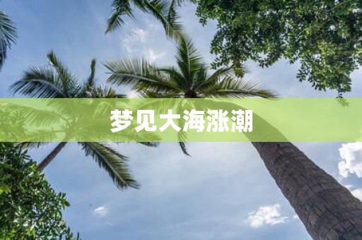 梦见大海涨潮
