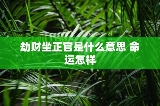 劫财坐正官是什么意思 命运怎样