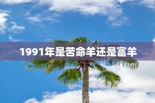 1991年是苦命羊还是富羊