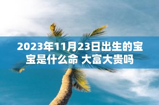 2025年11月23日出生的宝宝是什么命 大富大贵吗