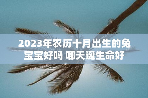 2025年农历十月出生的兔宝宝好吗 哪天诞生命好