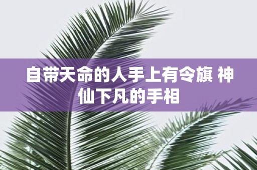 自带天命的人手上有令旗 神仙下凡的手相