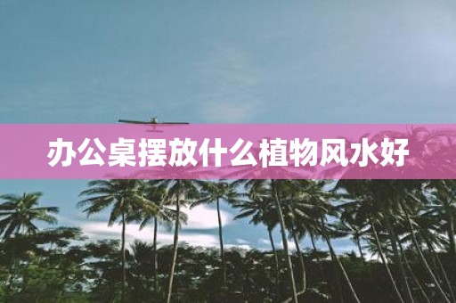 办公桌摆放什么植物风水好