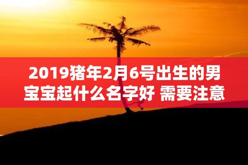 2019猪年2月6号出生的男宝宝起什么名字好 需要注意什么