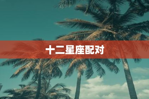 十二星座配对