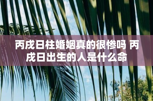 丙戌日柱婚姻真的很惨吗 丙戌日出生的人是什么命