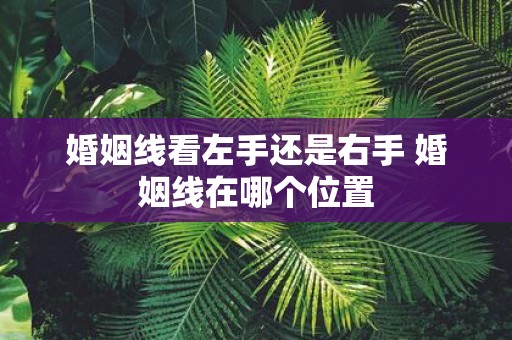 婚姻线看左手还是右手 婚姻线在哪个位置