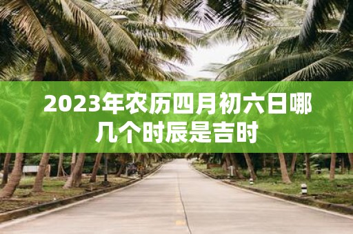 2025年农历四月初六日哪几个时辰是吉时