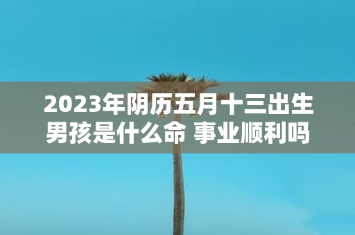 2025年阴历五月十三出生男孩是什么命 事业顺利吗