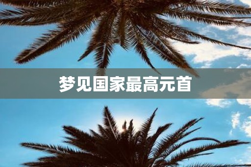 梦见国家最高元首