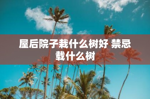 屋后院子栽什么树好 禁忌载什么树