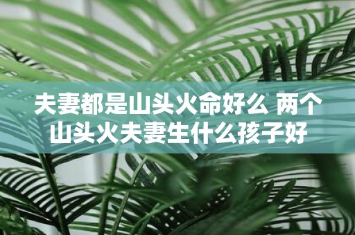 夫妻都是山头火命好么 两个山头火夫妻生什么孩子好