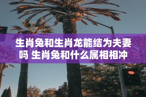 生肖兔和生肖龙能结为夫妻吗 生肖兔和什么属相相冲