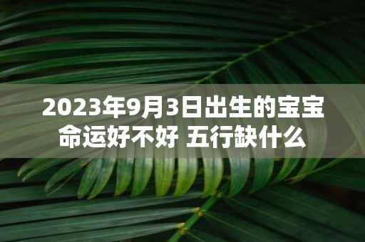 2025年9月3日出生的宝宝命运好不好 五行缺什么
