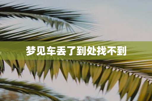 梦见车丢了到处找不到