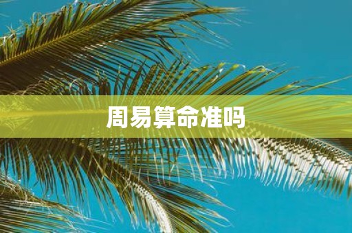 周易算命准吗
