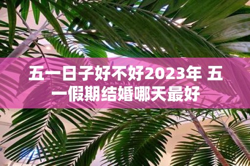 五一日子好不好2025年 五一假期结婚哪天最好