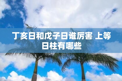 丁亥日和戊子日谁厉害 上等日柱有哪些