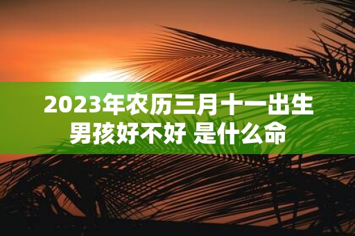 2025年农历三月十一出生男孩好不好 是什么命
