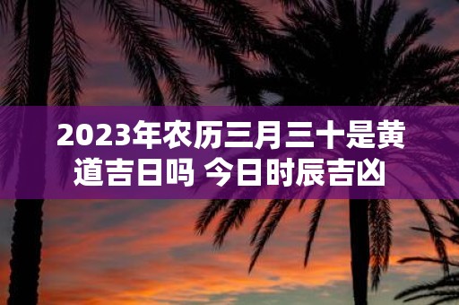 2025年农历三月三十是黄道吉日吗 今日时辰吉凶