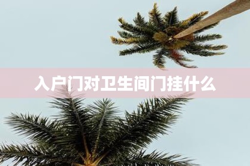 入户门对卫生间门挂什么