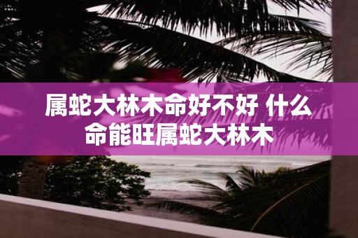属蛇大林木命好不好 什么命能旺属蛇大林木