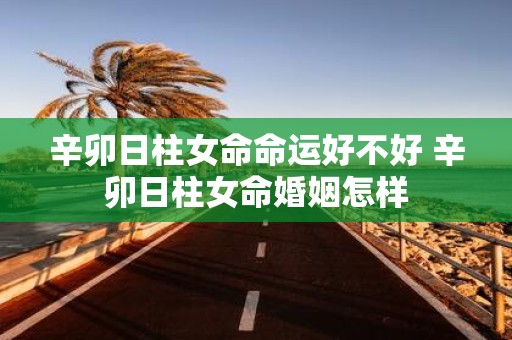 辛卯日柱女命命运好不好 辛卯日柱女命婚姻怎样