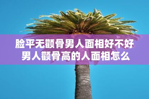 脸平无颧骨男人面相好不好 男人颧骨高的人面相怎么样