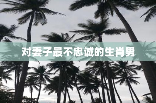 对妻子最不忠诚的生肖男
