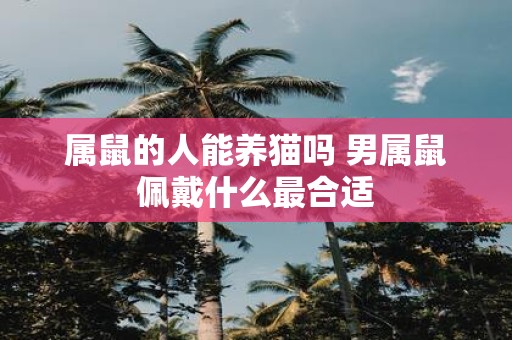 属鼠的人能养猫吗 男属鼠佩戴什么最合适