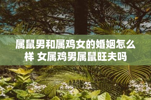 属鼠男和属鸡女的婚姻怎么样 女属鸡男属鼠旺夫吗