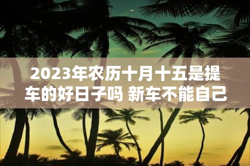 2025年农历十月十五是提车的好日子吗 新车不能自己开吗